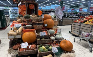 Ceny dyń w Halloween – hurt i detal ceny dyń