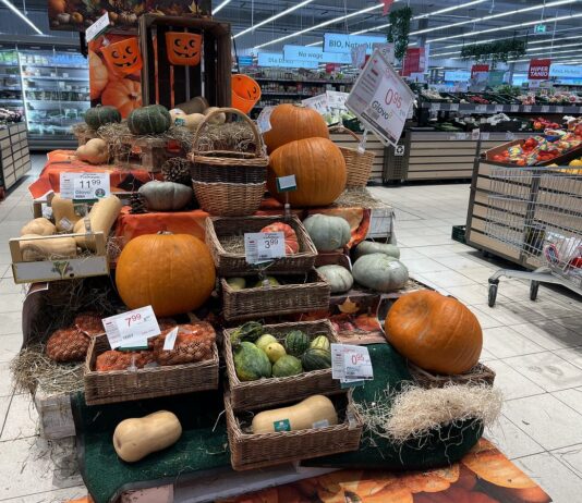 Ceny dyń w Halloween – hurt i detal ceny dyń