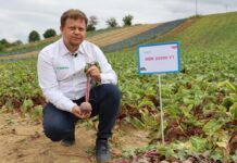 Nowa genetyka buraka ćwikłowego od Sakata – trzy odmiany dla wymagających producentów Łukasz Rudeski, Sakata