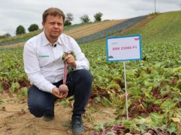 Nowa genetyka buraka ćwikłowego od Sakata – trzy odmiany dla wymagających producentów Łukasz Rudeski, Sakata