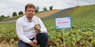 Nowa genetyka buraka ćwikłowego od Sakata – trzy odmiany dla wymagających producentów Łukasz Rudeski, Sakata