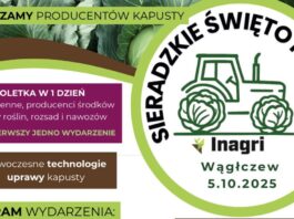 Sieradzkie Święto Kapusty już w najbliższą niedzielę Sieradzkie Święto Kapusty