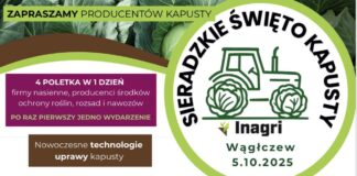 Sieradzkie Święto Kapusty już w najbliższą niedzielę Sieradzkie Święto Kapusty