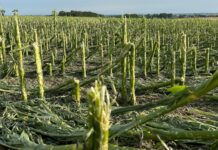 Rusza sezon ubezpieczeń. Na co zwrócić uwagę? sezon ubezpieczeń