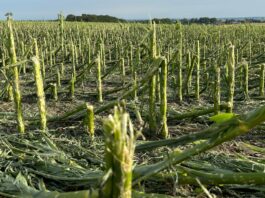 Rusza sezon ubezpieczeń. Na co zwrócić uwagę? sezon ubezpieczeń