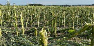 Rusza sezon ubezpieczeń. Na co zwrócić uwagę? sezon ubezpieczeń