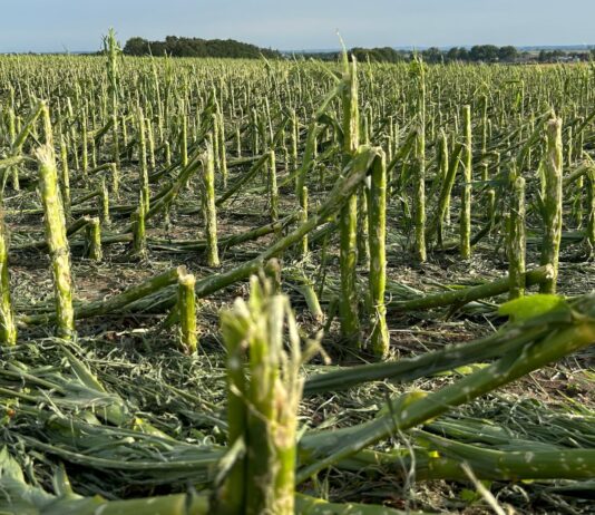 Rusza sezon ubezpieczeń. Na co zwrócić uwagę? sezon ubezpieczeń