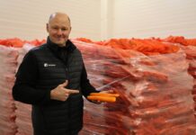 Podsumowujemy projekt „Marchew #Profesjonalnie” Marchew #Profesjonalnie