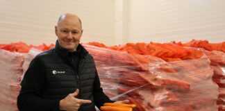 Podsumowujemy projekt „Marchew #Profesjonalnie” Marchew #Profesjonalnie