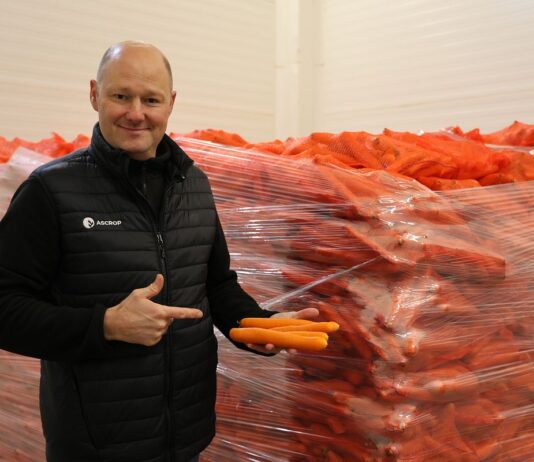 Podsumowujemy projekt „Marchew #Profesjonalnie” Marchew #Profesjonalnie