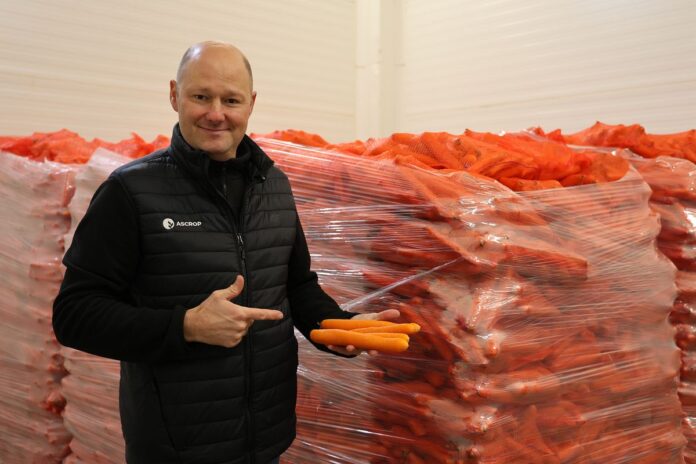 Marchew #Profesjonalnie