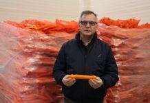 Marchew #Profesjonalnie – nawożenie zdało egzamin Marchew #profesjonalnie