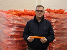 Marchew #Profesjonalnie – nawożenie zdało egzamin Marchew #profesjonalnie