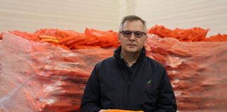 Marchew #Profesjonalnie – nawożenie zdało egzamin Marchew #profesjonalnie