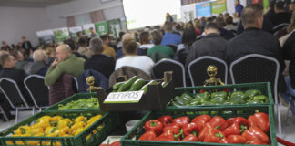 Przyszłość upraw papryki na południowym Mazowszu. Kontraktacja? To się raczej nie uda!