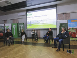 Przyszłość uprawy papryki w radomskim zagłębiu. Konsolidacja czy chaos?