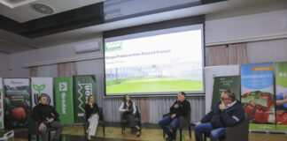 Przyszłość uprawy papryki w radomskim zagłębiu. Konsolidacja czy chaos?