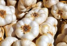 Chiński czosnek w szczycie eksportu. Coraz więcej trafia do Europy chiński czosnek