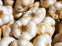 Chiński czosnek w szczycie eksportu. Coraz więcej trafia do Europy chiński czosnek