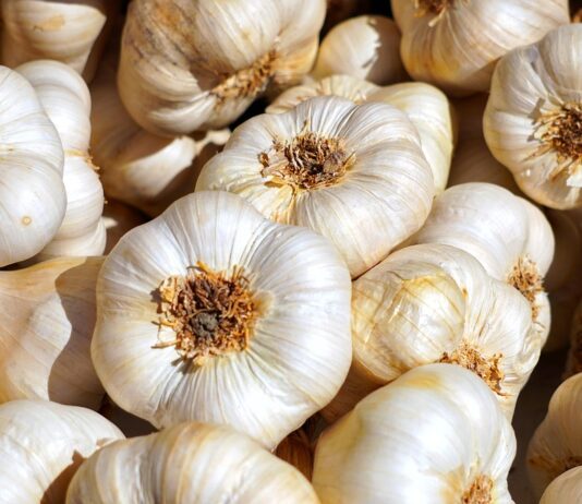 Chiński czosnek w szczycie eksportu. Coraz więcej trafia do Europy chiński czosnek