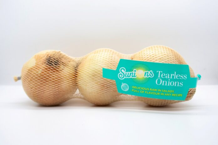 61ddabd82d6530406443521c_sunions promo shot 1