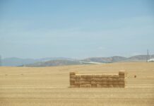 Mercosur pod lupą: szanse, zagrożenia i realia dla zdrowia, rynku i środowiska