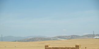 Mercosur pod lupą: szanse, zagrożenia i realia dla zdrowia, rynku i środowiska