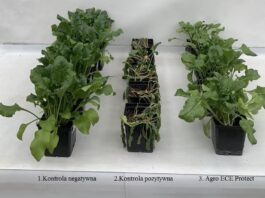 Ochrona roślin przed stresem, przełomowe rozwiązanie