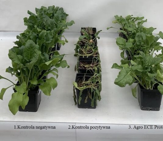 Ochrona roślin przed stresem, przełomowe rozwiązanie