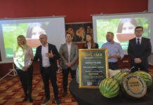 Przyszłość uprawy arbuzów mini w Polsce. Kluczowe elementy sukcesu