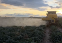 Opryskiwacz turbinowy na plantacji warzyw w Hiszpanii oprysk, hiszpania, agro eca protect