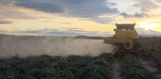 Opryskiwacz turbinowy na plantacji warzyw w Hiszpanii oprysk, hiszpania, agro eca protect