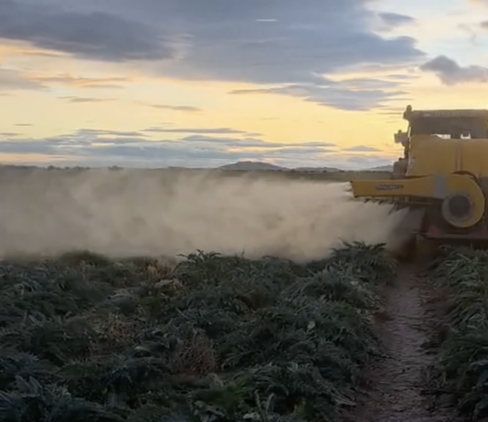 Opryskiwacz turbinowy na plantacji warzyw w Hiszpanii oprysk, hiszpania, agro eca protect