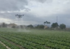 Drony w uprawach polowych warzyw w Hiszpanii dron, oprysk, opryskiwania, hiszpania