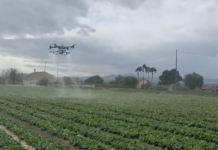 Drony w uprawach polowych warzyw w Hiszpanii dron, oprysk, opryskiwania, hiszpania