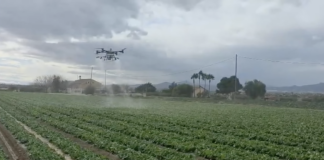 Drony w uprawach polowych warzyw w Hiszpanii dron, oprysk, opryskiwania, hiszpania