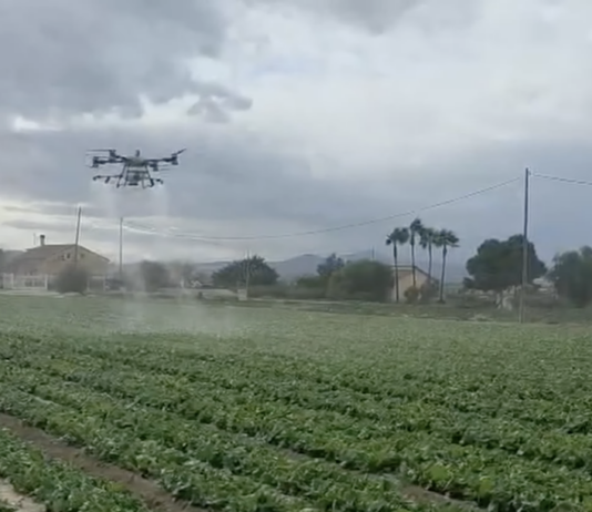 Drony w uprawach polowych warzyw w Hiszpanii dron, oprysk, opryskiwania, hiszpania