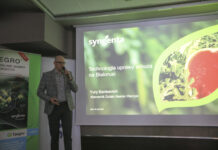 Produkcja arbuzów na Białorusi – sekrety plonowania i dominujące odmiany