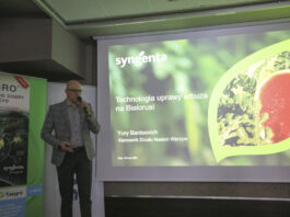 Produkcja arbuzów na Białorusi – sekrety plonowania i dominujące odmiany