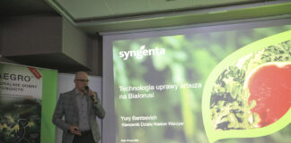 Produkcja arbuzów na Białorusi – sekrety plonowania i dominujące odmiany