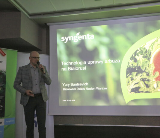 Produkcja arbuzów na Białorusi – sekrety plonowania i dominujące odmiany