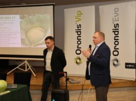 Nowoczesna i precyzyjna produkcja kapusty kluczem do sukcesu Jakub Minor i Zygmunt Siekacz z firmy Syngenta