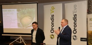 Nowoczesna i precyzyjna produkcja kapusty kluczem do sukcesu Jakub Minor i Zygmunt Siekacz z firmy Syngenta