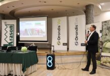 Rozwiązania na choroby, szkodniki i trudne warunki w uprawie warzyw