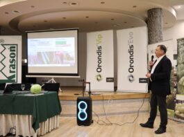 Rozwiązania na choroby, szkodniki i trudne warunki w uprawie warzyw