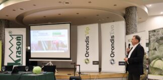 Rozwiązania na choroby, szkodniki i trudne warunki w uprawie warzyw