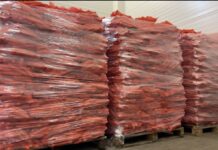 Duże zapasy marchwi obniżają ceny marchew, zapasy marchwi,