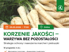 Najbliższe szkolenia online