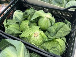 Aktualne ceny kapusty w hurcie i detalu (04.03.2026) ceny kapusty, kapusta, kapusta młoda