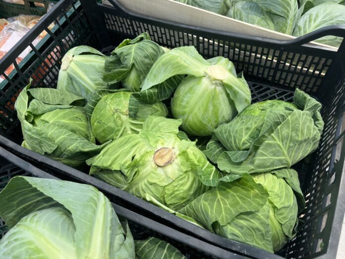 ceny kapusty, kapusta, kapusta młoda